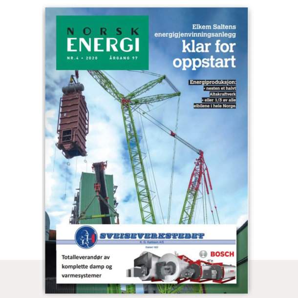 Norsk Energi - rsabonnement